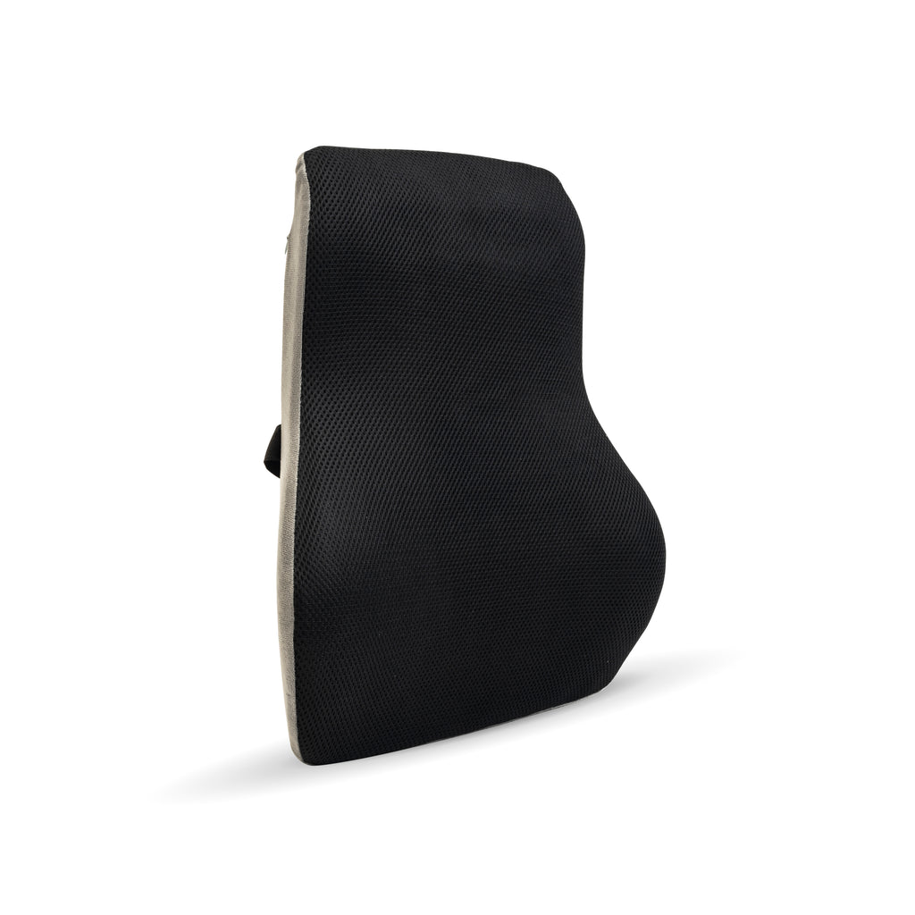 Spine Ease Chair Back Rest Cusion